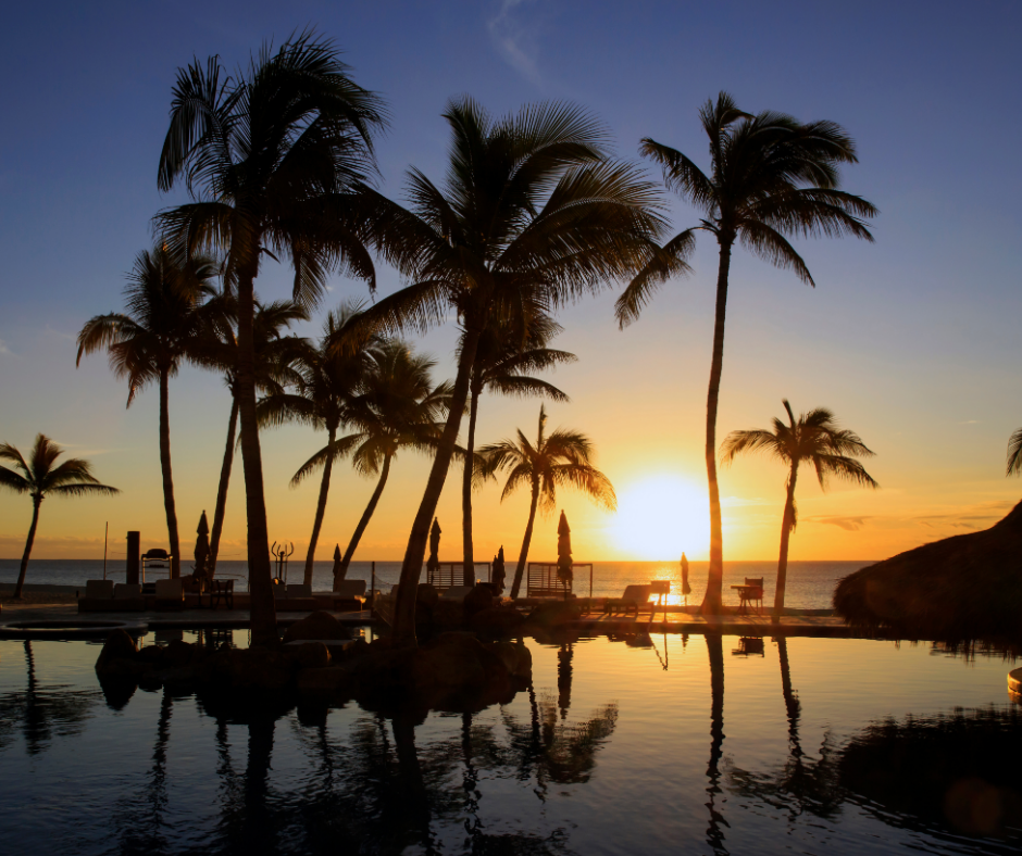 Mexican Riviera Cabo Palms