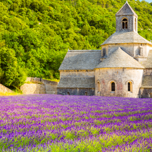 Provence