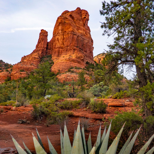 Sedona