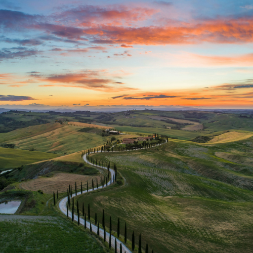 Photo by Luca Micheli 
